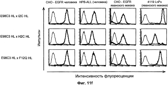 Cd3-эпсилон-связывающий домен с межвидовой специфичностью (патент 2561457)