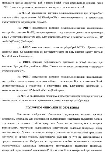 Система экспрессии компонентов ортогональной трансляции в эубактериальной клетке-хозяине (патент 2467069)