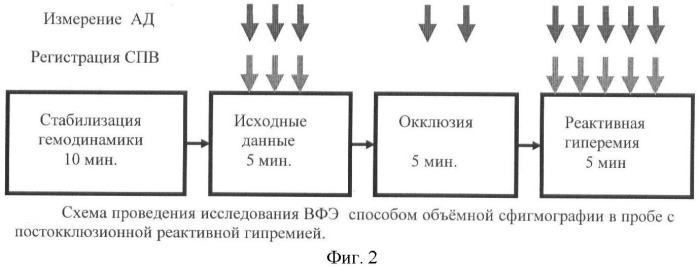 Способ оценки вазомоторной функции эндотелия с применением объемной сфигмографии (патент 2428924)