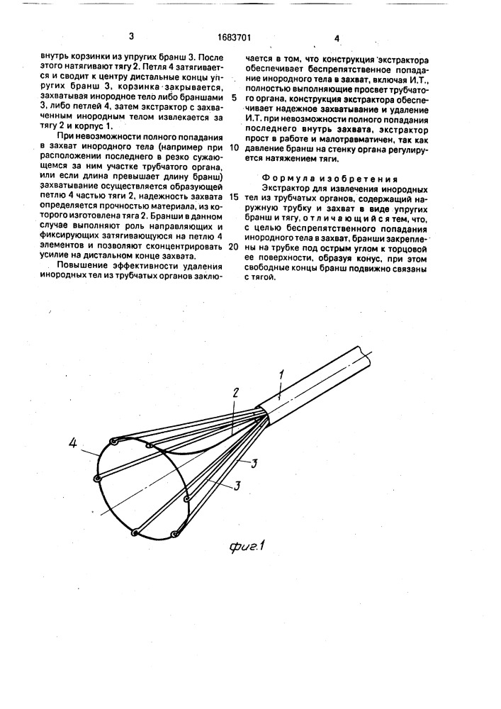 Экстрактор для извлечения инородных тел из трубчатых органов (патент 1683701)