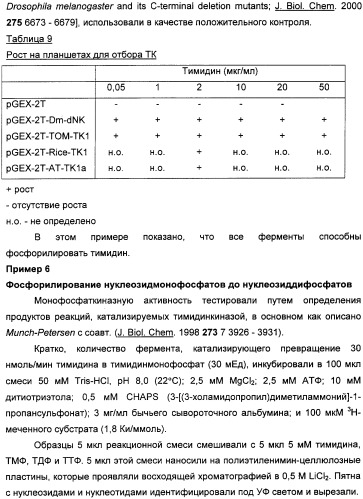 Растительные тимидинкиназы и их применение (патент 2339695)