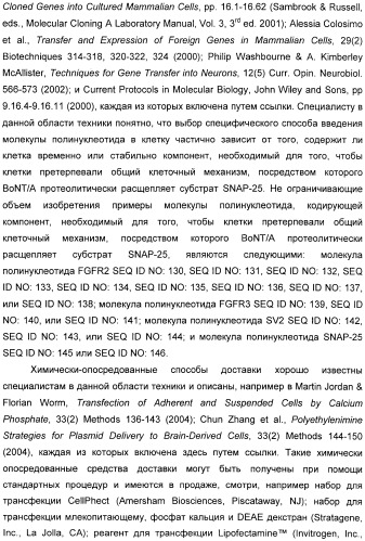 Иммунологические анализы активности ботулинического токсина серотипа а (патент 2491293)