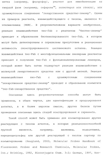 Антитела, сконструированные на основе цистеинов, и их конъюгаты (патент 2412947)