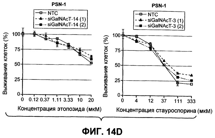 Анализы и способы применения биомаркеров (патент 2409817)