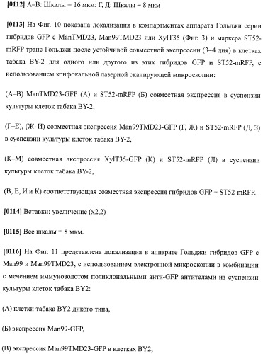 Набор последовательностей для таргетинга экспрессии и контроля посттрансляционных модификаций рекомбинантного полипептида (патент 2481399)