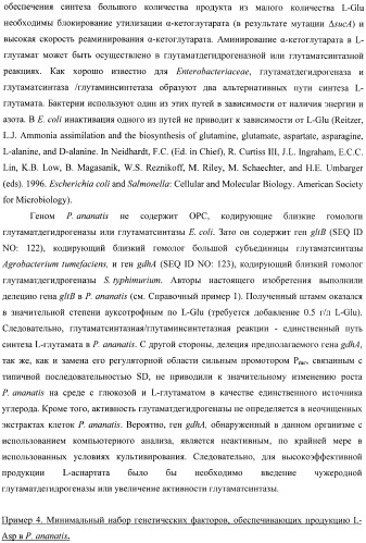 Бактерия, принадлежащая к роду pantoea, - продуцент l-аспартата или метаболита, являющегося производным l-аспартата, и способ получения l-аспартата или метаболита, являющегося производным l-аспартата (патент 2411289)
