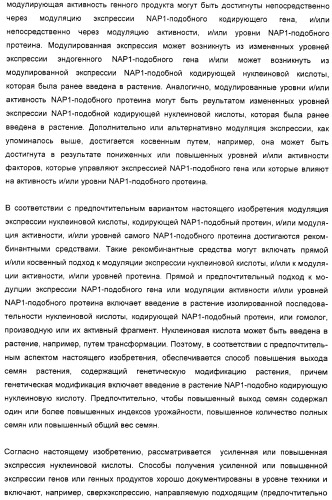 Способ повышения выхода семян растения, способ производства трансгенного растения, имеющего повышенную урожайность семян, генная конструкция для экспрессии в растении и трансгенное растение (патент 2409938)