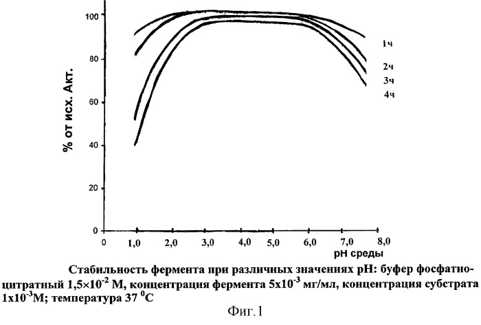 Средство для коррекции дефицита лактазы (патент 2309766)