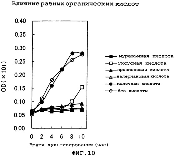 Способ получения l-глутаминовой кислоты (патент 2288271)