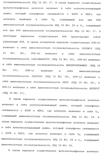 Антитела к her (патент 2504553)
