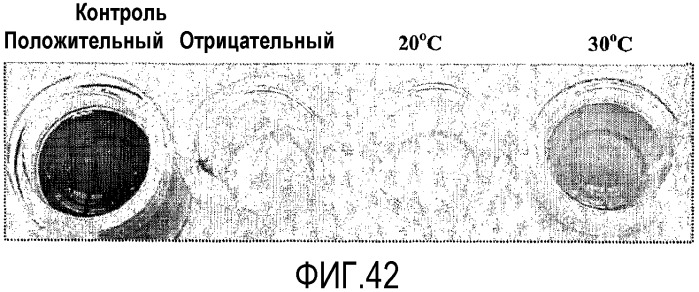 Способ (патент 2376868)