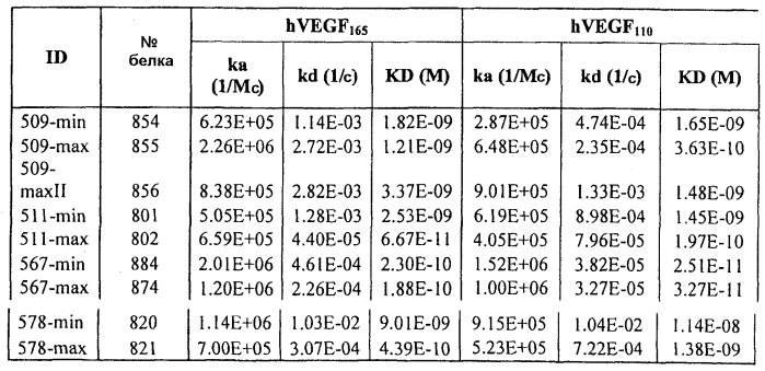 Стабильные и растворимые антитела, ингибирующие vegf (патент 2588467)