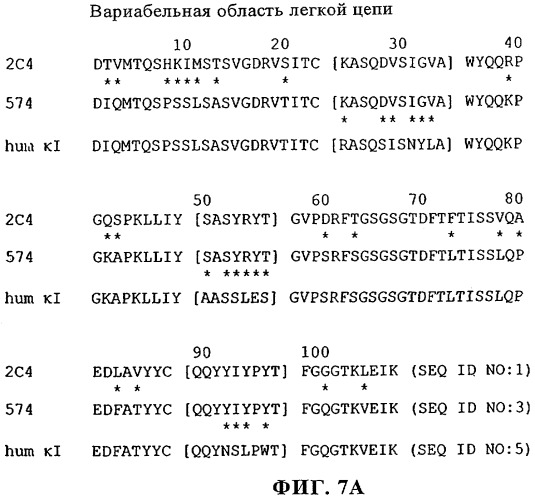 Способ лечения рака у человека (варианты), применяемая в способе форма (варианты) и применение антитела (варианты) (патент 2430739)