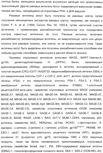 Мотивы последовательности рнк в контексте определенных межнуклеотидных связей, индуцирующие специфические иммуномодулирующие профили (патент 2435851)