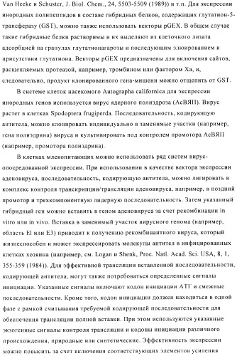 Стабилизированные антитела против ангиопоэтина-2 и их применение (патент 2509085)