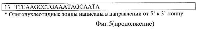 Способ выбора днк-зондов для микрочиповой диагностики, биочип и способ типирования гена нейраминидазы и гемагглютинина вируса гриппа а (патент 2470076)