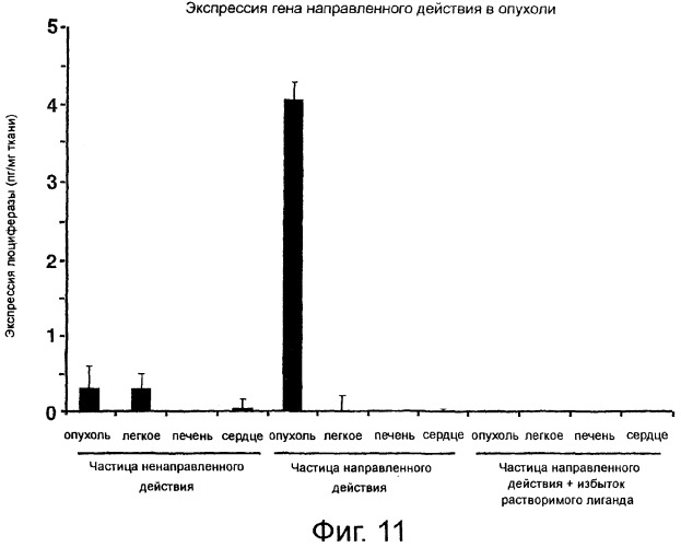 Система доставки нуклеиновых кислот (патент 2294192)