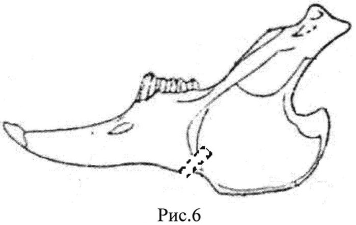 Способ оперативного доступа к нижней челюсти в эксперименте на кролике (патент 2550128)