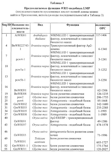 Молекулы нуклеиновых кислот, кодирующие wrinkled1-подобные полипептиды, и способы их применения в растениях (патент 2385347)