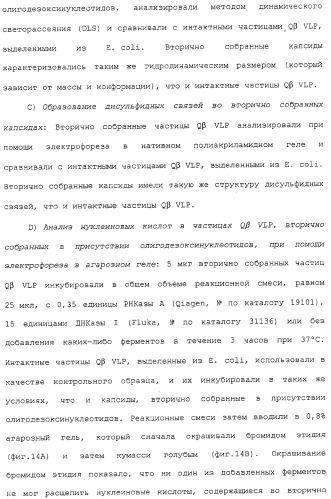 Композиции, содержащие cpg-олигонуклеотиды и вирусоподобные частицы, для применения в качестве адъювантов (патент 2322257)