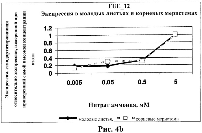 Изолированные полипептиды, кодирующие их полинуклеотиды, экспрессирующие их трансгенные растения и способы их использования (патент 2425151)