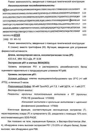 Вакцина для предупреждения и лечения вич-инфекции (патент 2441878)