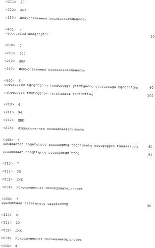 Бактерия escherichia coli для получения 1,2-пропандиола, способ ее получения, способ получения 1,2-пропандиола (патент 2407793)