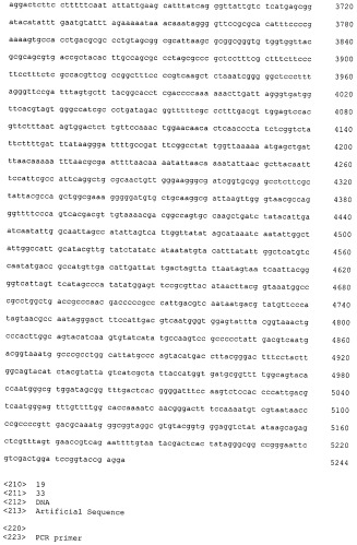 Плазмида для экспрессии в клетке китайского хомячка, клетка китайского хомячка - продуцент белка с gla-доменом и способ получения белка с gla-доменом (патент 2535871)