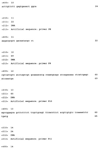 Способ получения l-аминокислот с использованием бактерии семейства enterobacteriaceae (патент 2364628)