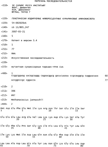 Генетически кодируемые флюоресцентные кумариновые аминокислоты (патент 2473690)