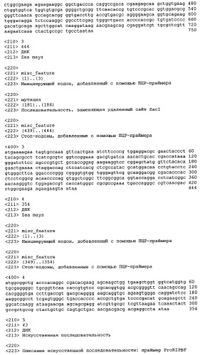 Растение и растительная клетка, трансформированные химерным геном (патент 2275426)