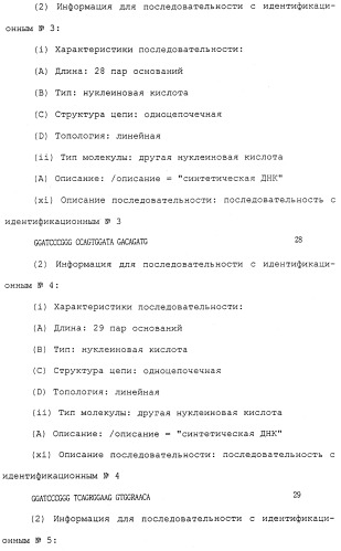 Антитела против белка, родственного паращитовидному гормону человека (патент 2322453)