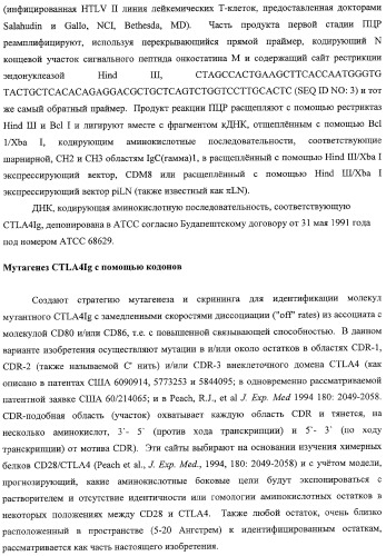 Способ лечения сердечно-сосудистого заболевания с применением растворимого ctla4 (патент 2353384)