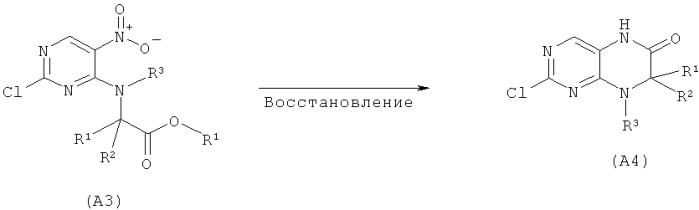 Комбинации, предназначенные для лечения заболеваний, включающих пролиферацию клеток (патент 2521394)