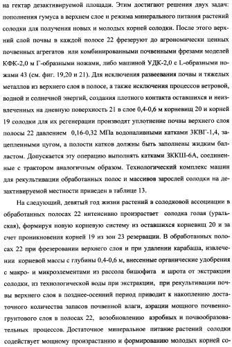 Фиторемедиационный способ очистки почв от тяжелых металлов (патент 2359444)