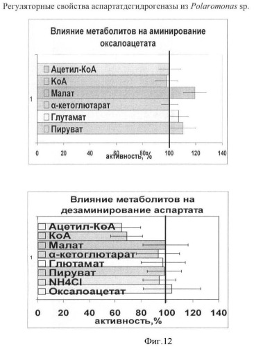 Бактерия семейства enterobacteriaceae - продуцент l-аспарагиновой кислоты или метаболитов, производных l-аспарагиновой кислоты, и способ получения l-аспарагиновой кислоты или метаблитов, производных l-аспарагиновой кислоты (патент 2472853)