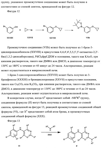 Производные азабифениламинобензойной кислоты в качестве ингибиторов dhodh (патент 2481334)