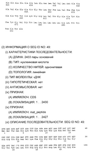 Очищенные белки оболочки вируса гепатита с для диагностического и терапевтического применения (патент 2313363)