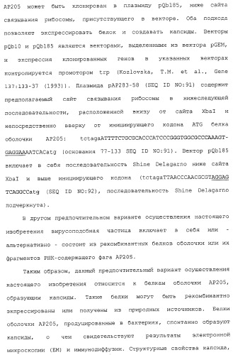 Композиции, содержащие cpg-олигонуклеотиды и вирусоподобные частицы, для применения в качестве адъювантов (патент 2322257)