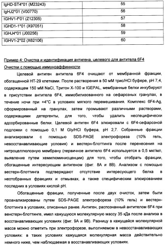 Новые антипролиферативные антитела (патент 2451689)