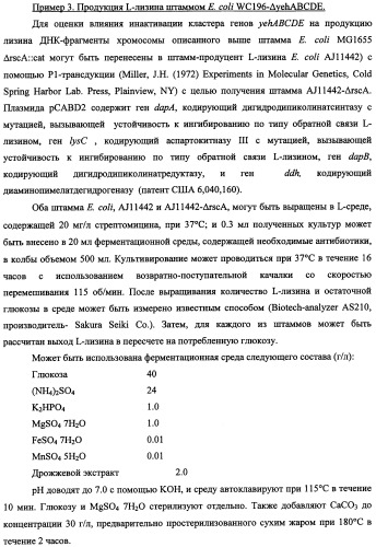 Способ получения l-треонина и l-аргинина с использованием бактерии, принадлежащей к роду escherichia, в которой инактивирован кластер генов yehabcde (патент 2337960)