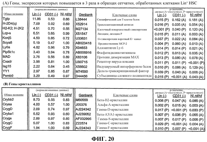 Способ лечения ретинопатии при недоношенности и родственных ретинопатических заболеваний (патент 2403906)