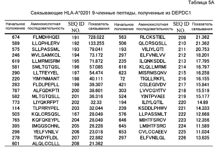 Пептидные вакцины против рака с экспрессией полипептидов mphosph1 или depdc1 (патент 2469044)