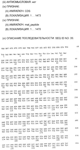 Очищенные белки оболочки вируса гепатита с для диагностического и терапевтического применения (патент 2313363)