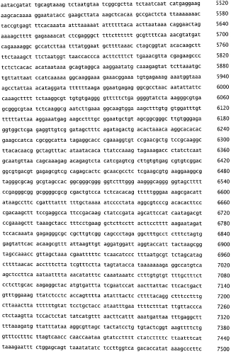 Бактериофаг, обладающий активностью против pseudomonas aeruginosa, белки бактериофага и способы их применения (патент 2580248)