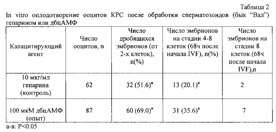 Способ капацитации криоконсервированных сперматозоидов крупного рогатого скота для работ по in vitro оплодотворению яйцеклеток (патент 2639268)