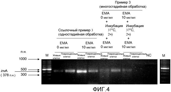 Способ и набор для детектирования микроорганизма (патент 2410440)