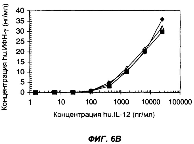 Комплексы антител с несколькими цитокинами (патент 2263118)