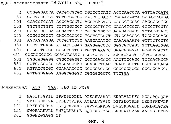 Протеин, связанный с заболеванием (патент 2384586)