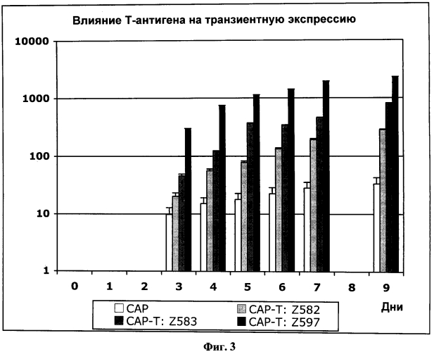 Новая постоянная линия клеток человека (патент 2569181)